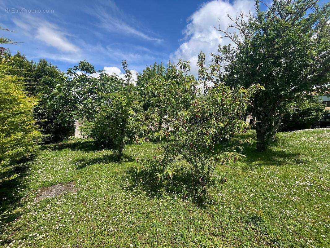 Terrain à NIEUL-SUR-MER