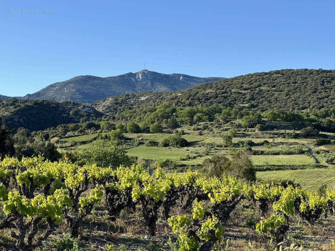 Terrain à MONTPEYROUX