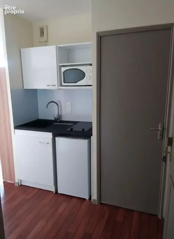 Appartement Villeurbanne 1 pièce(s) 18 m2 - photo 4