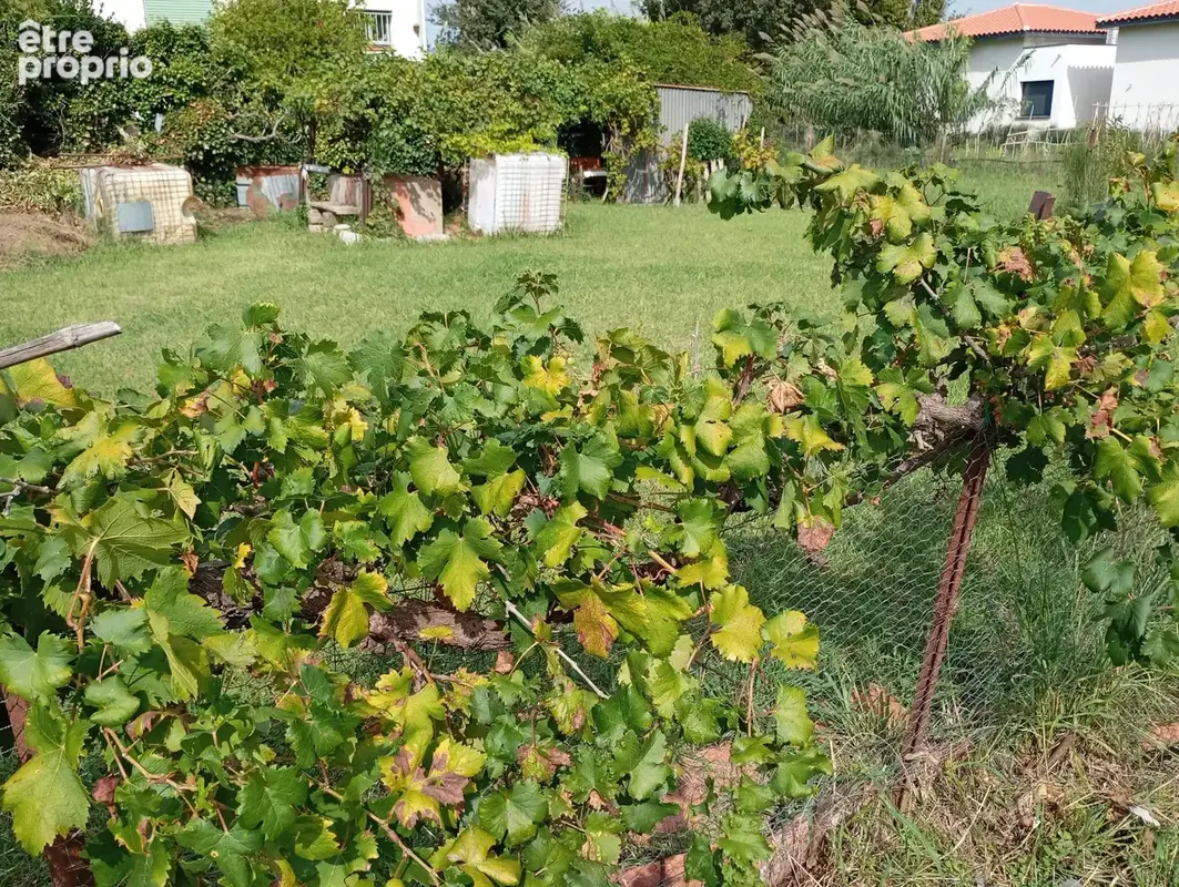 Terrain 250 m² à vendre à Argeles-Sur-Mer (66700) - photo 2