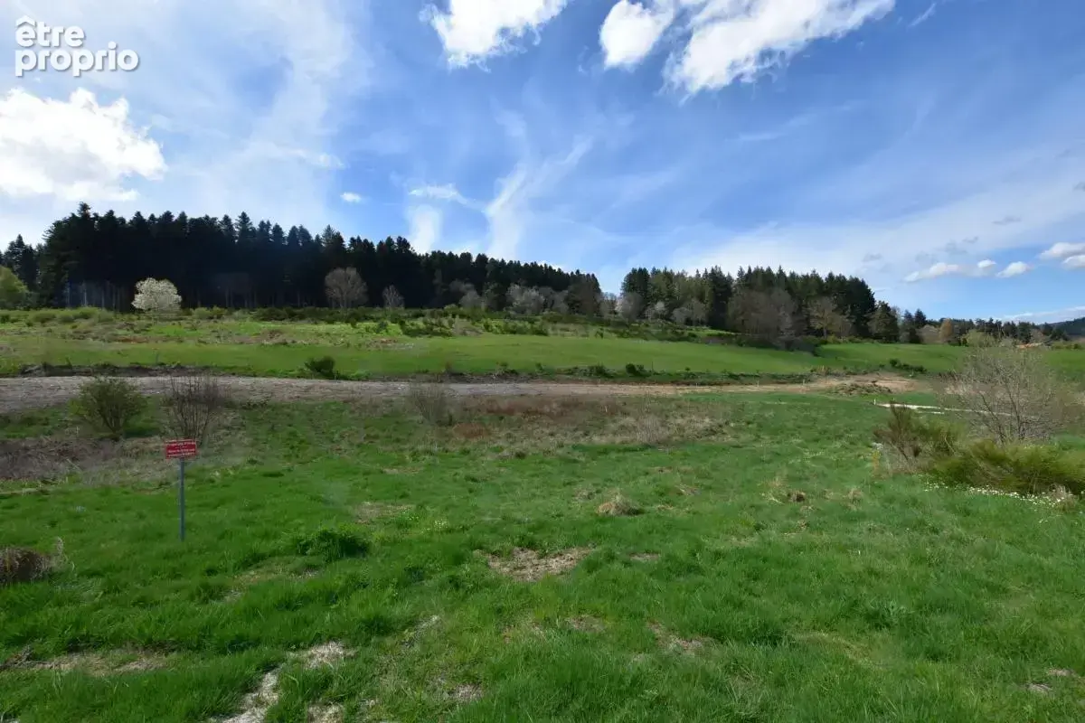Terrain à bâtir – Vue dégagée – Cadre paisible – Proche commodités de 756 m² à DUNIERES (43) - photo 4
