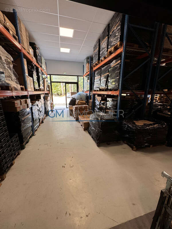 Commerce à MOLIETS-ET-MAA