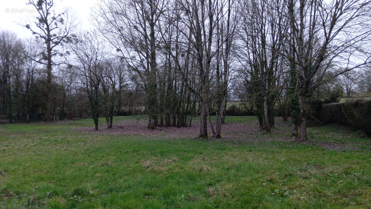 Terrain à MAZIERES-EN-GATINE
