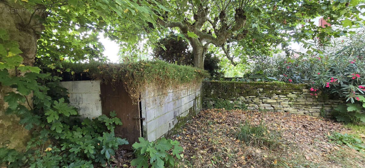 Photo 4 - Maison à SAINT-PALAIS