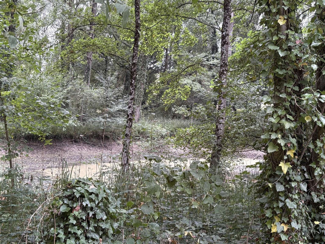 Maison à SAINT-GERMAIN-LE-VIEUX
