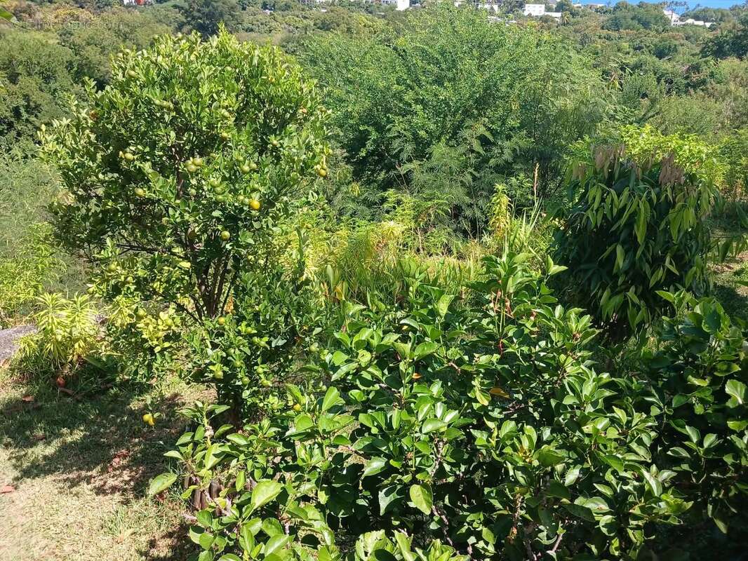 Maison à LA POSSESSION