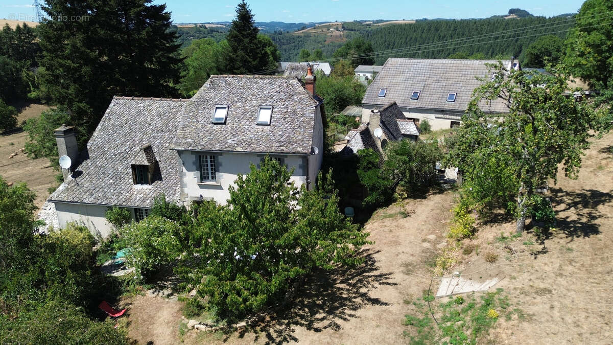 Nouveauté à la vente ! - photo 3