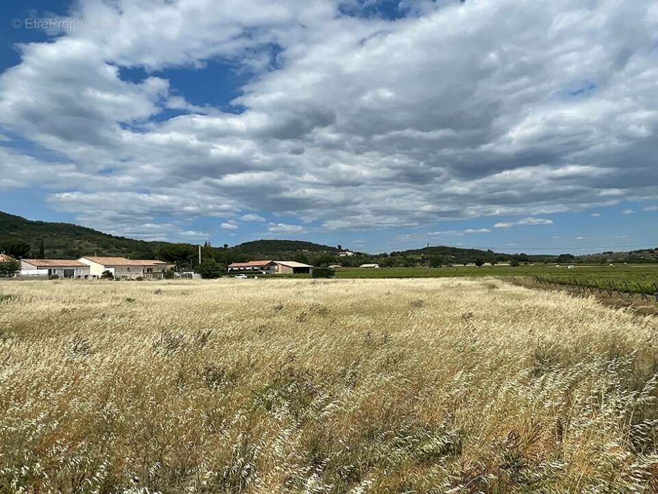 Terrain 509 m² à Peret  - photo 2