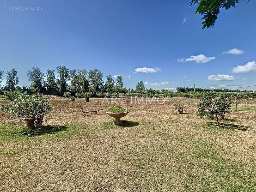 A vendre mas du xviii siecle sur pres d'un hectare de terrain avec piscine - photo 5
