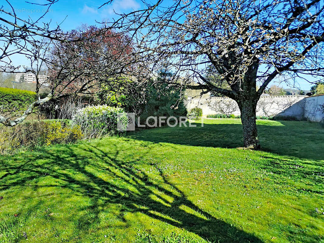 Terrain à NEUVILLE-SUR-SAONE