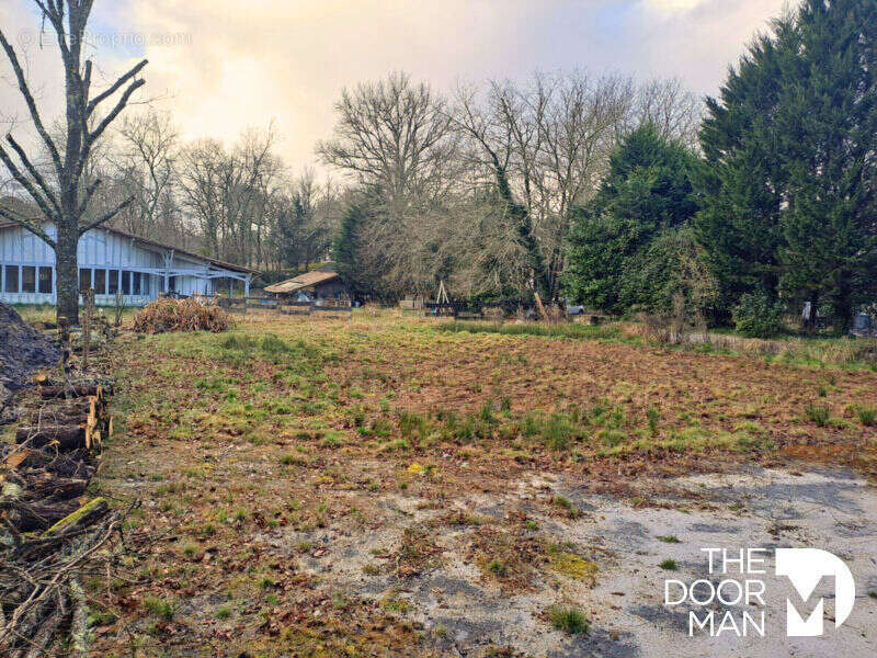 Terrain à BELIN-BELIET