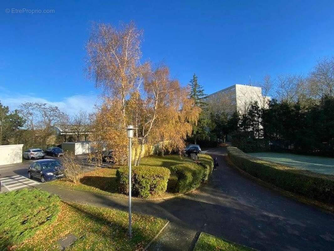 Photo 2 - Appartement à MAXEVILLE