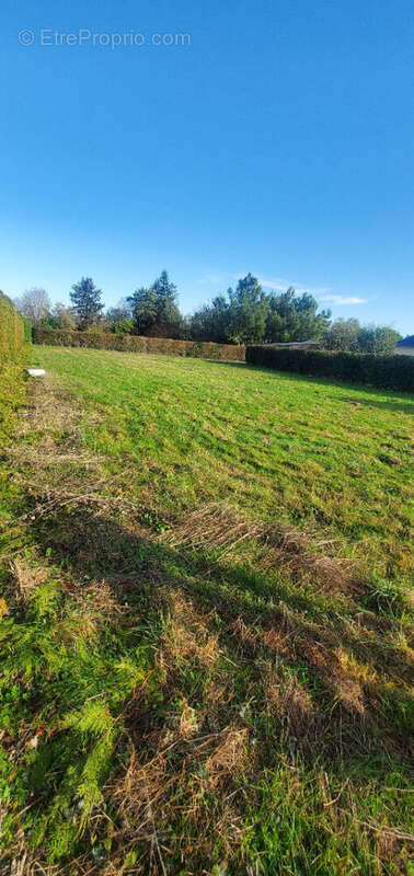 Terrain à BALLEE