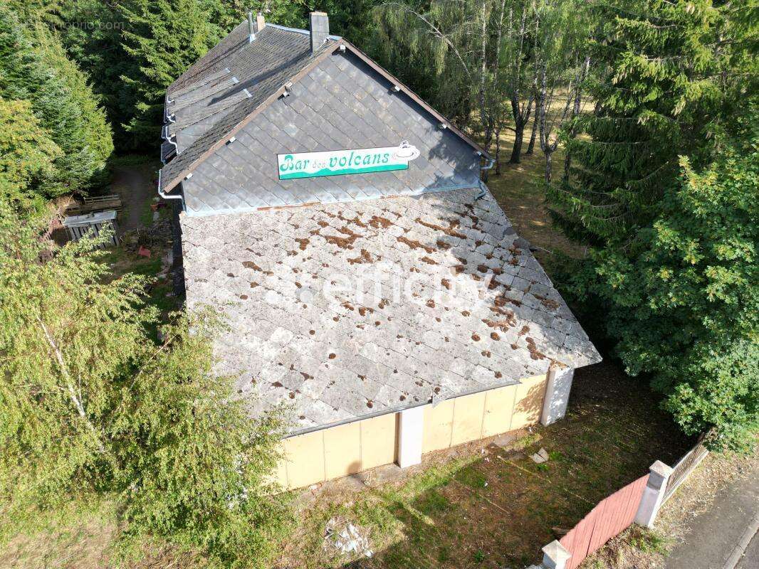Maison 353 m² à Aurieres  - photo 2