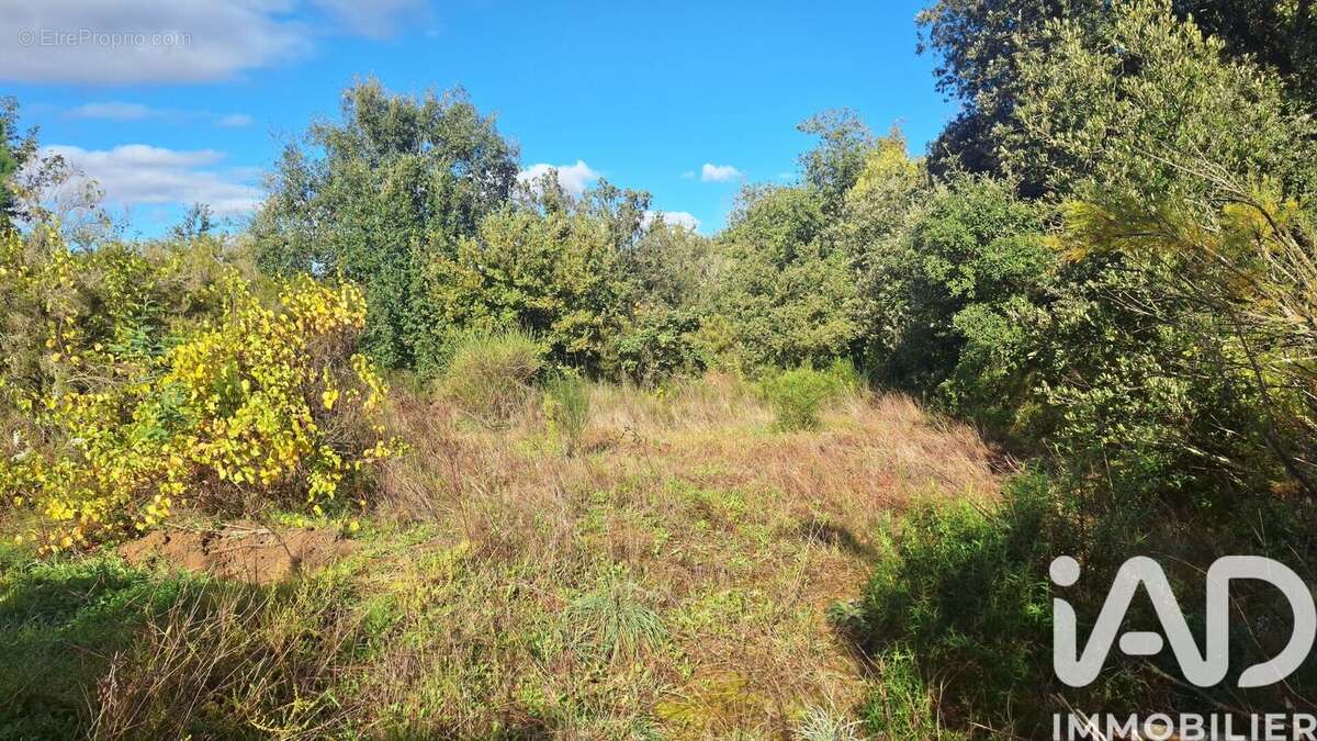 Photo 3 - Terrain à MONTESQUIEU-DES-ALBERES