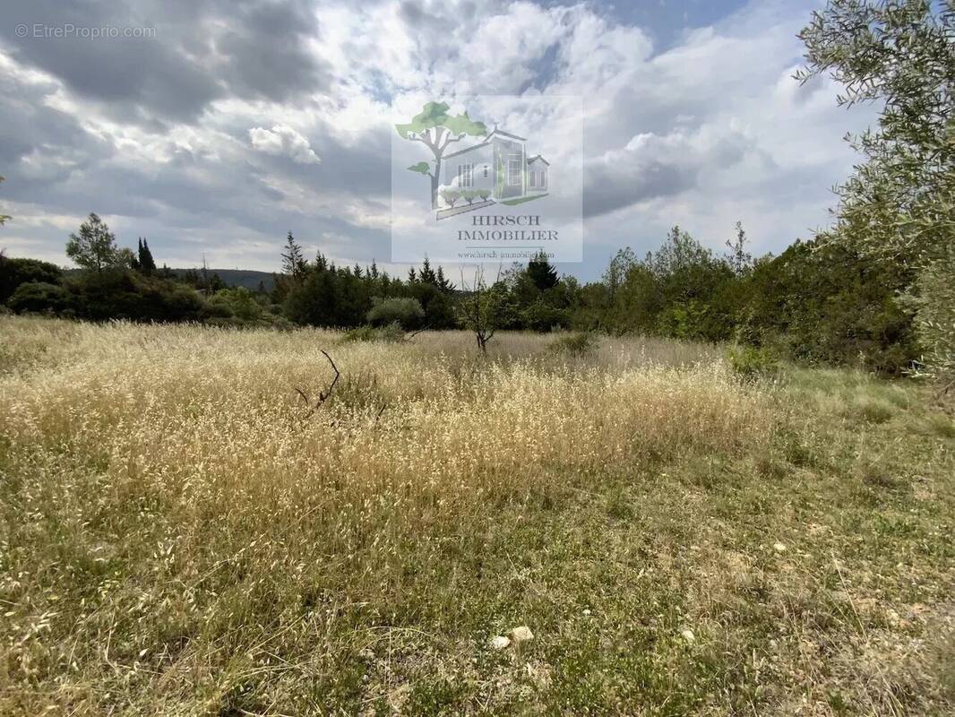 Terrain à BIZE-MINERVOIS