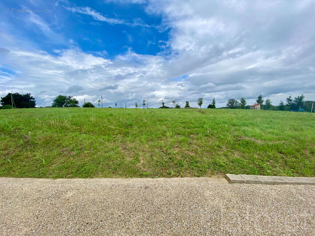 Terrain à VESCOURS