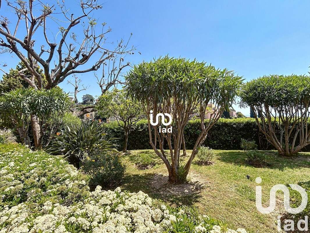 Photo 6 - Appartement à MENTON