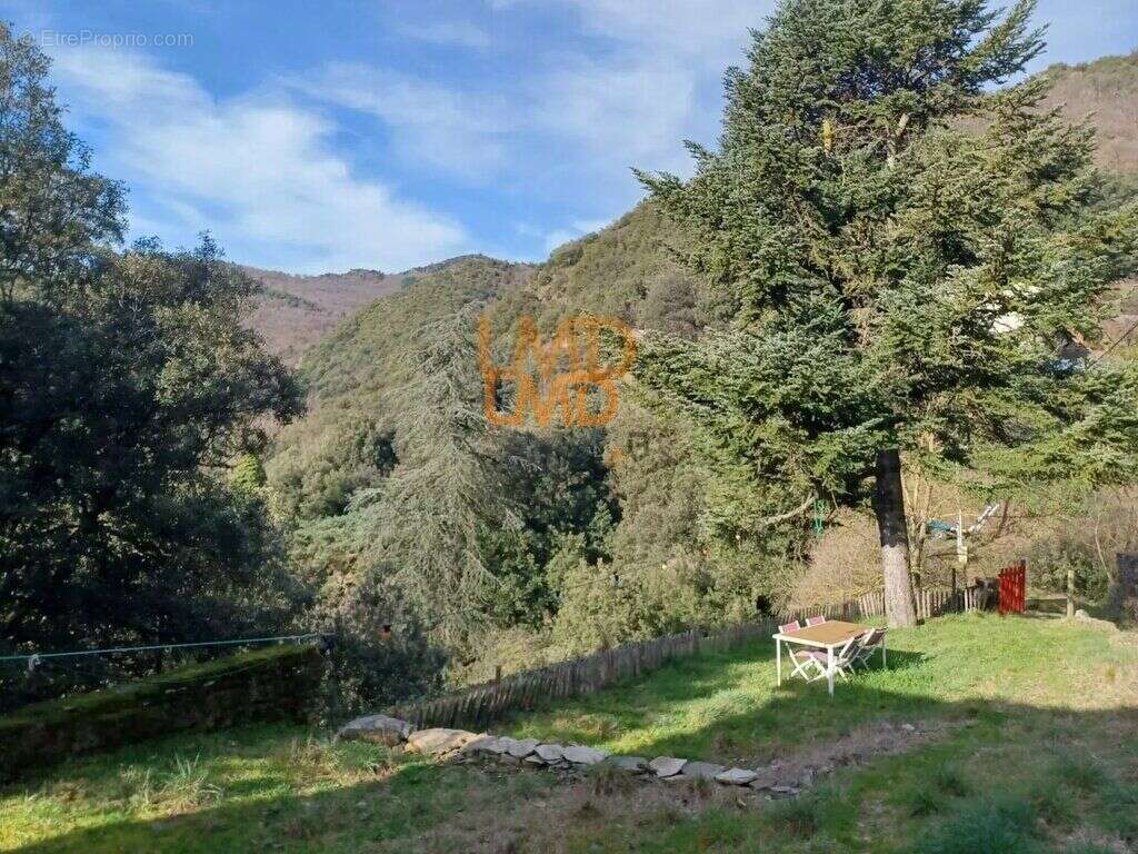 Maison à SAINT-ANDRE-DE-VALBORGNE