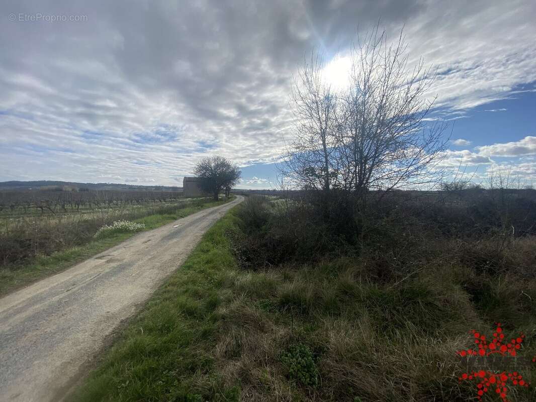 Terrain à POILHES