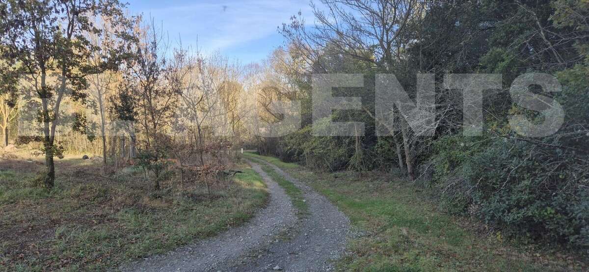 20251128_150103 - Terrain à VILLAR-SAINT-ANSELME