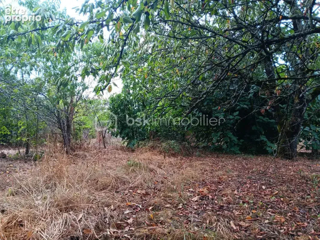  Longère de 195 m² + 185 m² de dépendances – Terrain 2 783 m² - photo 24