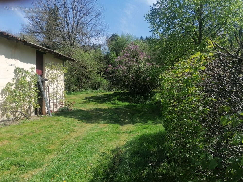 Maison à COURPIERE