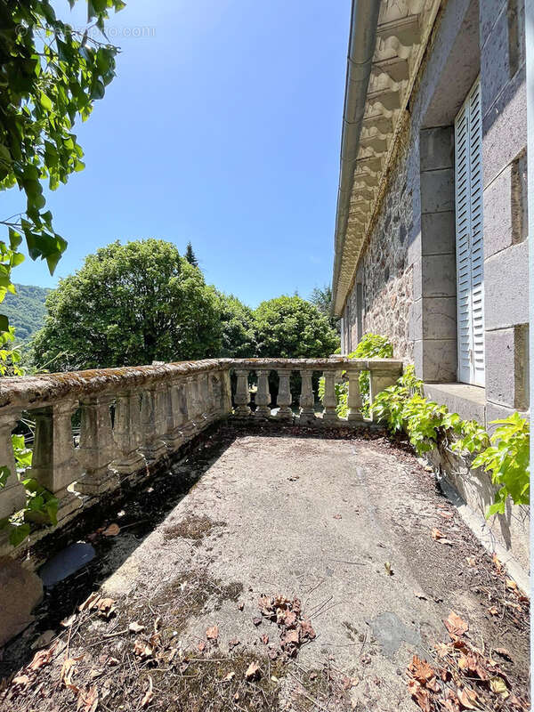 CANTAL, Château des Sources à vendre - photo 12