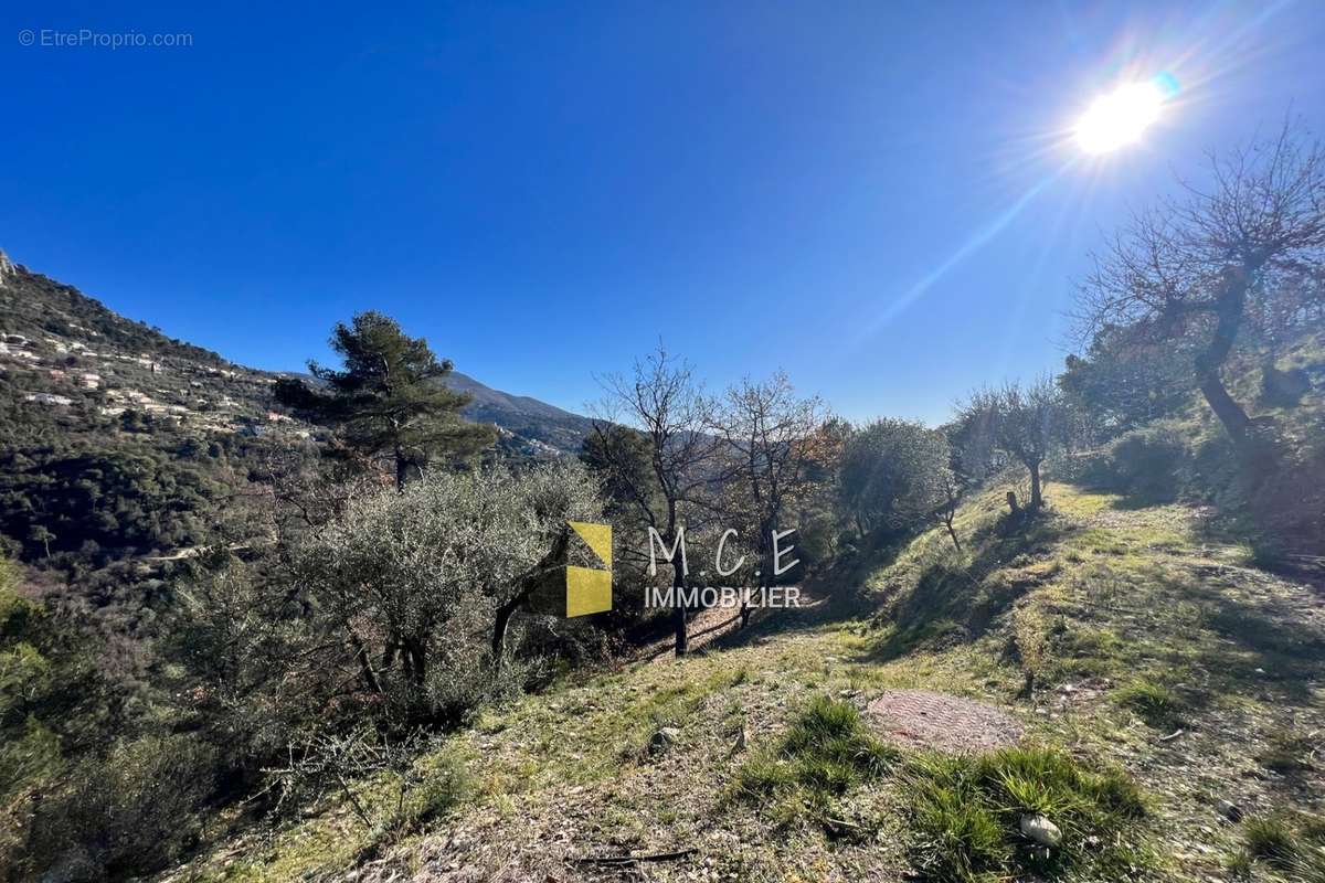 Terrain à CASTAGNIERS