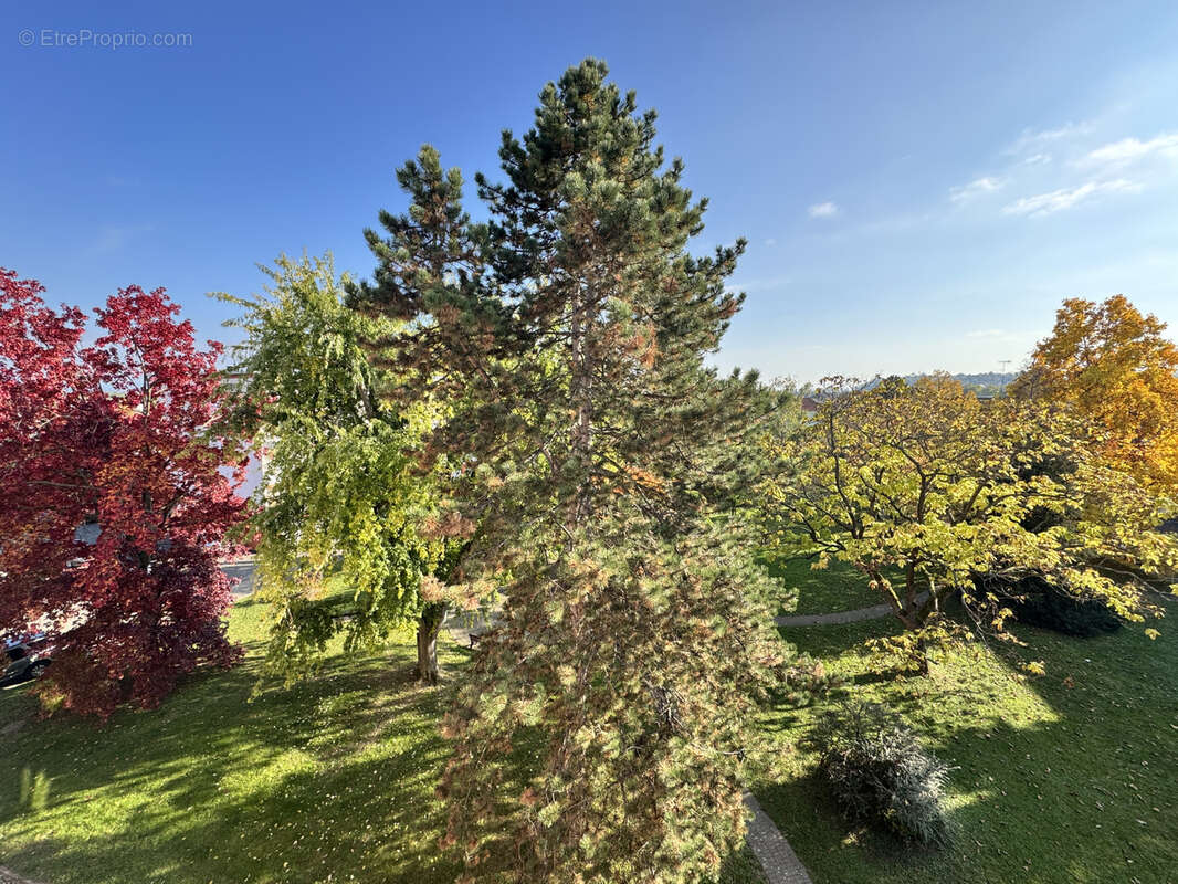 Appartement à RIXHEIM