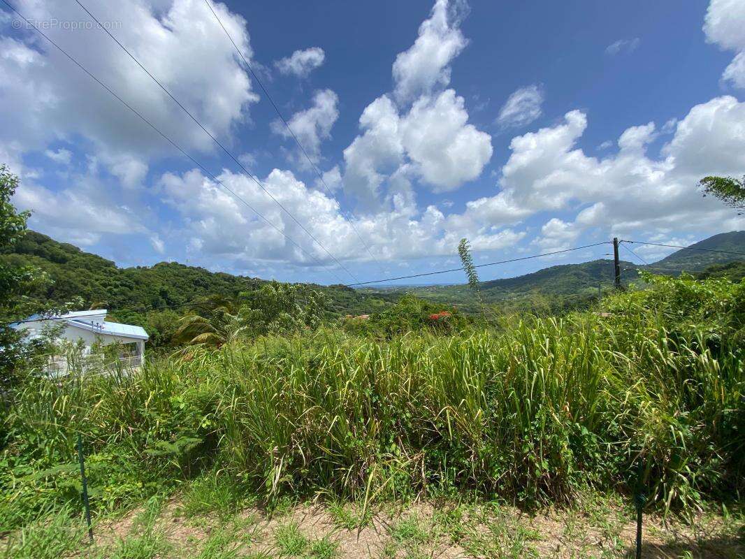 Terrain à LE FRANCOIS