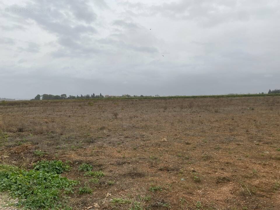 Terrain à MONTADY