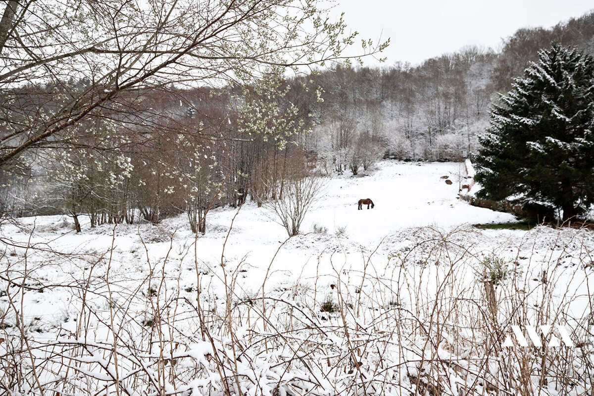 Appartement à LA BRESSE