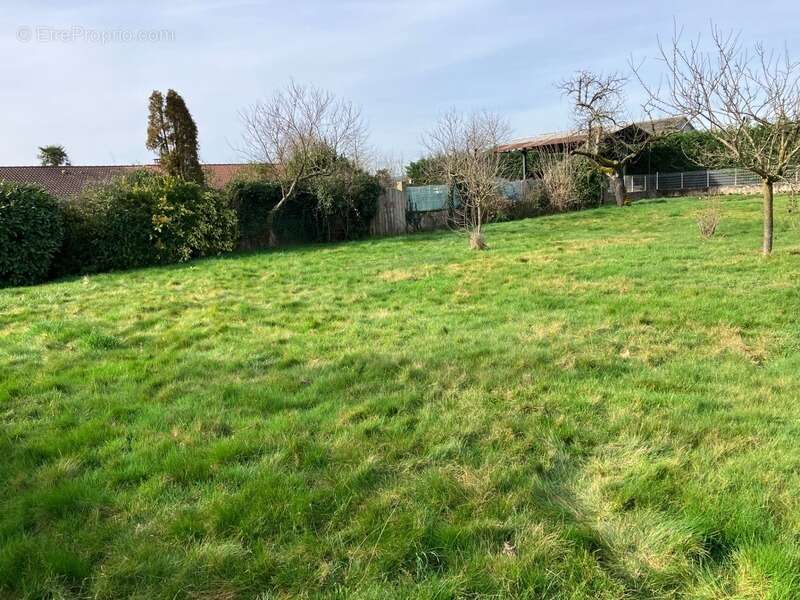 Terrain à vendre de 470,00 m² TAPONAS (69) - TERRAIN CONSTRUCTIBLE 470 m² - plat et au calme - photo 3