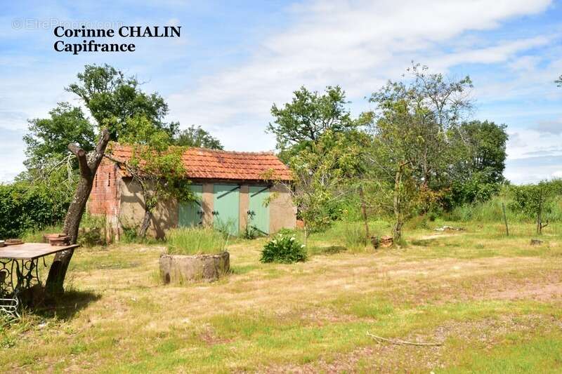 Longère à vendre 4 pièces 75m2 sur 1500m2 de terrain LIERNOLLES (03) - photo 6