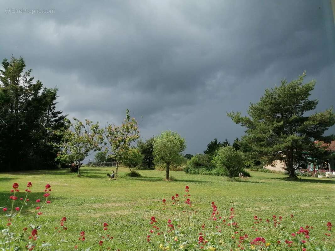 Maison, grange, atelier, hangar et terrain offrant une vue imprenable - photo 20