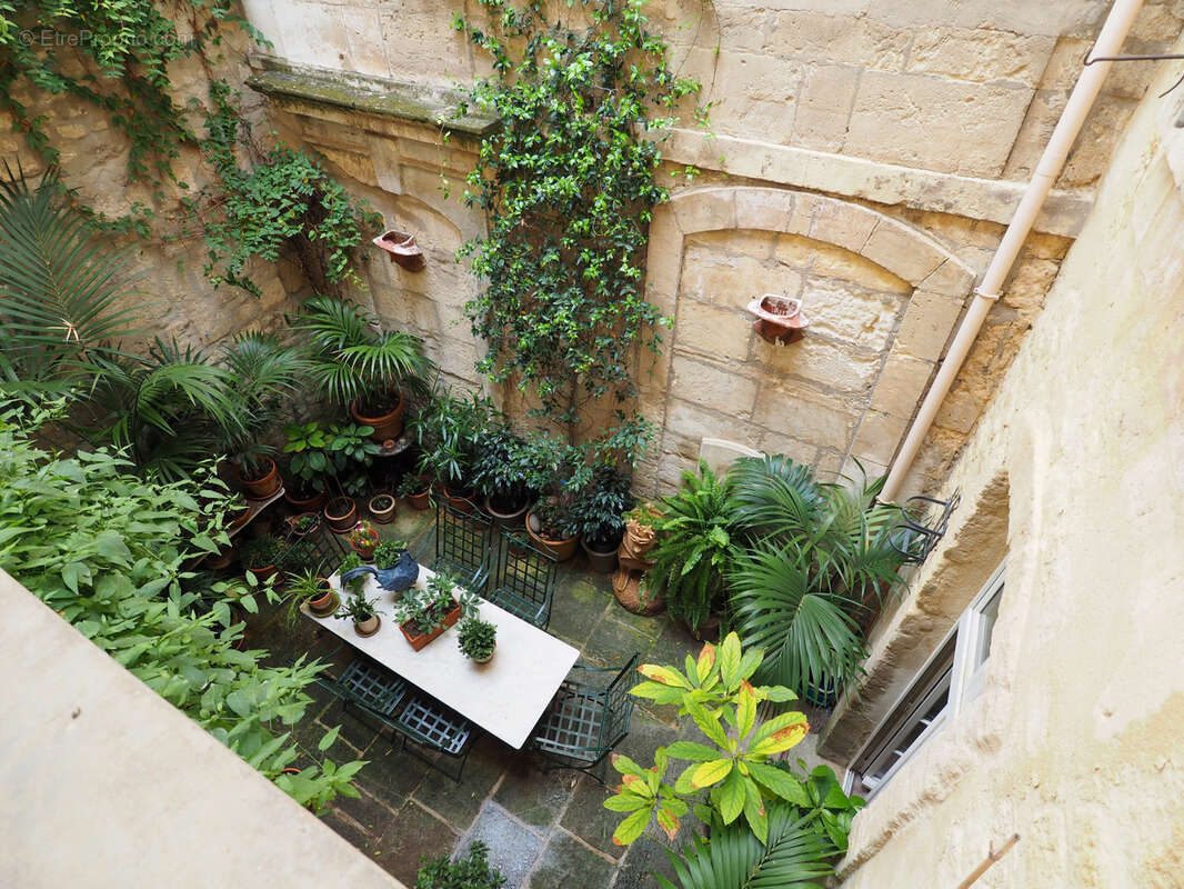 Hotel Particulier Arles centre-ville - photo 3