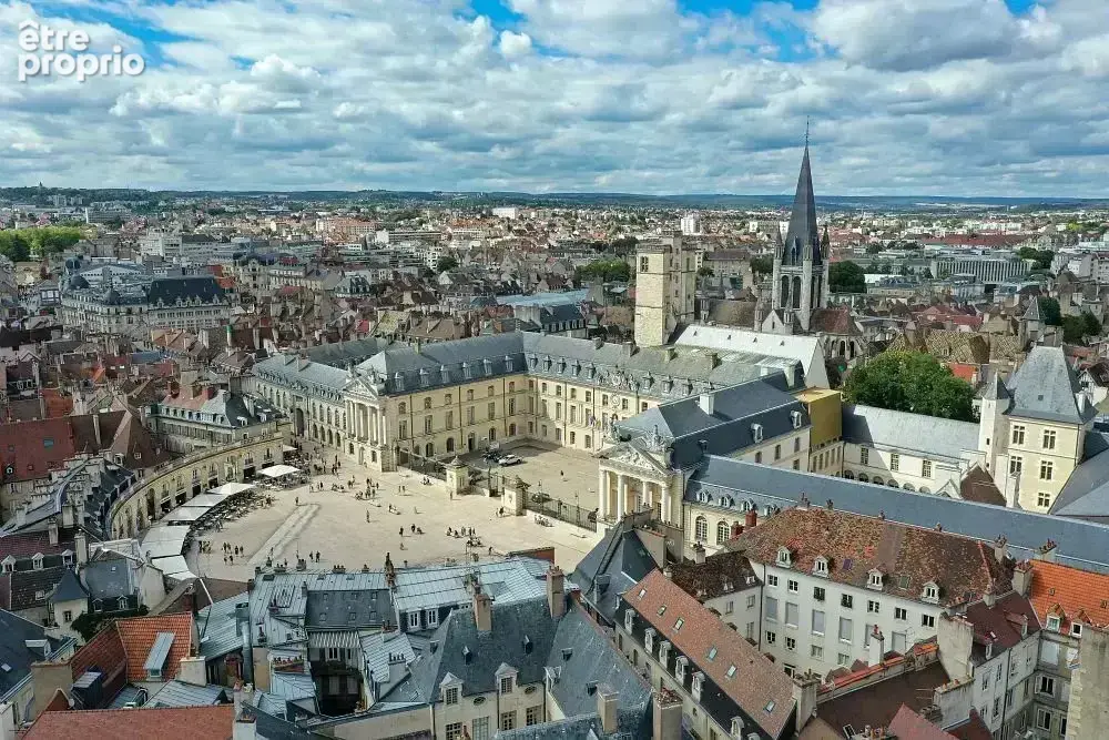 Commerce à DIJON