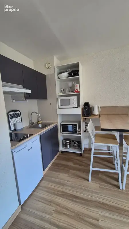 Appartement 2 pièces 24 m² à vendre à Saint-Lary-Soulan (65170) - photo 3