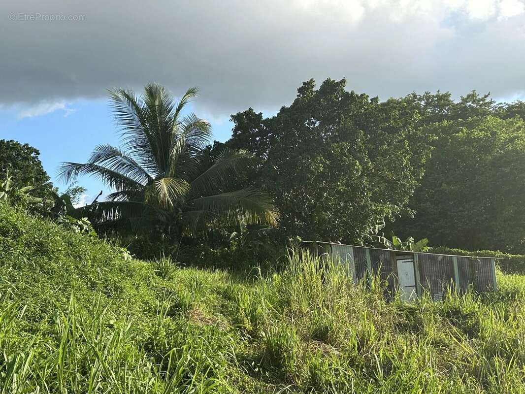 Terrain à BAIE-MAHAULT
