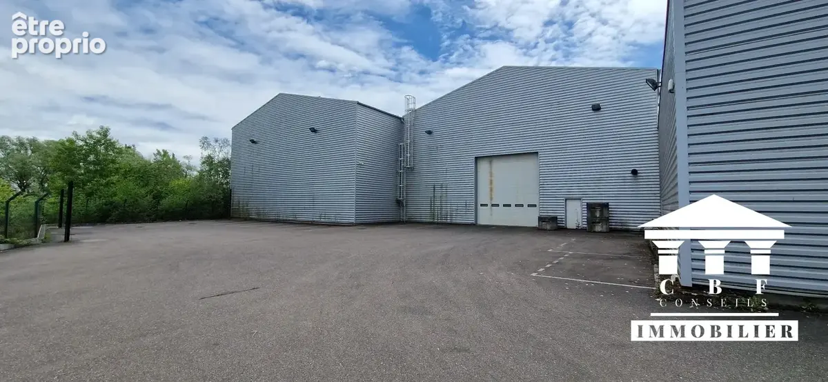 Commerce 4 780 m² à vendre à Gergy (71590) - photo 4