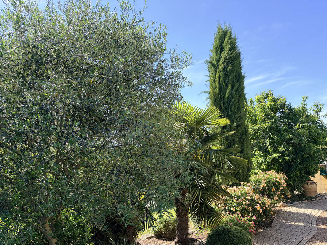 Maison à VILLEFRANCHE-SUR-SAONE