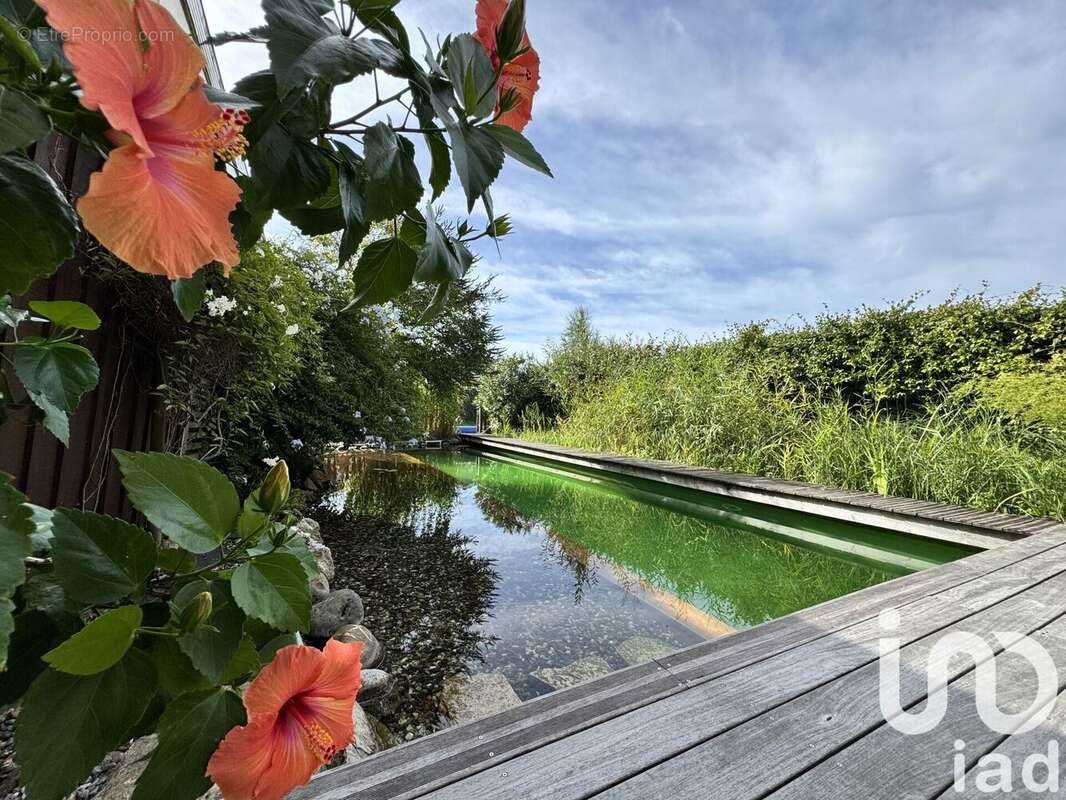 Photo 5 - Maison à LA TESTE-DE-BUCH