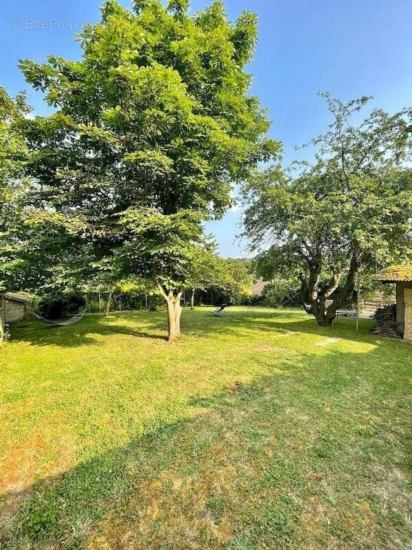 Terrain à CHATEAUFORT