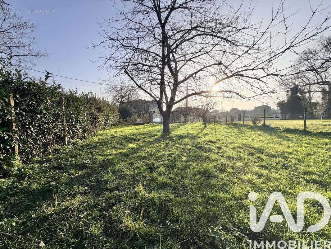 Photo 3 - Terrain à SAINT-GERMAIN-DU-PUCH