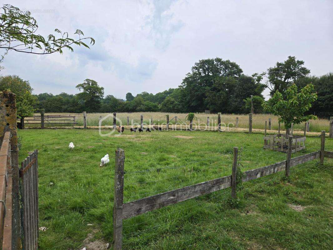 Maison à MARTIGNE-SUR-MAYENNE