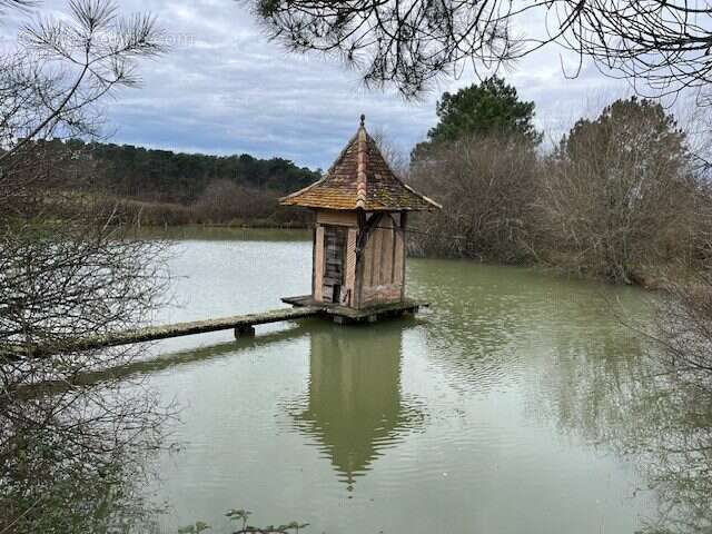 Maison à BEAUPOUYET
