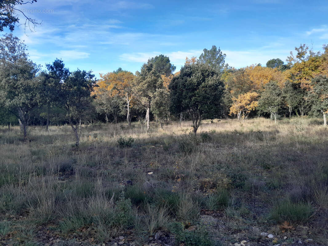 Terrain à BAUDINARD-SUR-VERDON