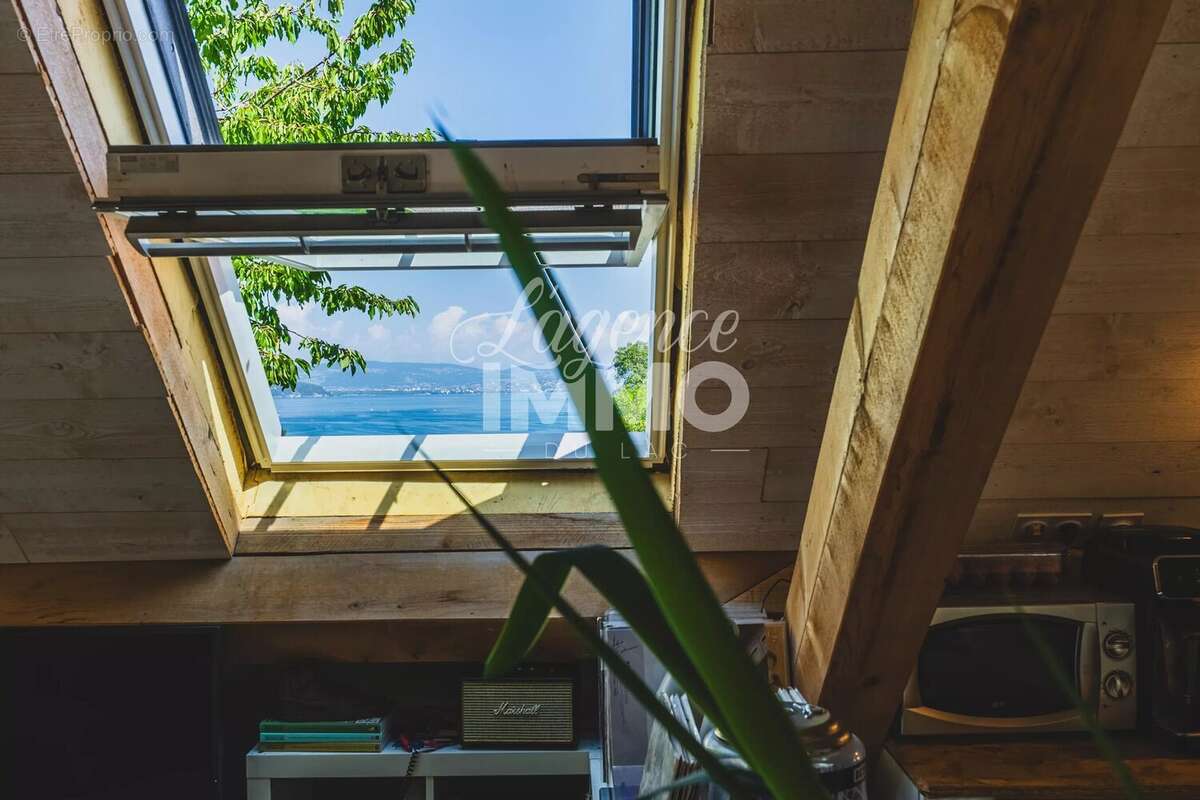 Triplex à DUINGT avec vue lac et grand jardin - photo 4