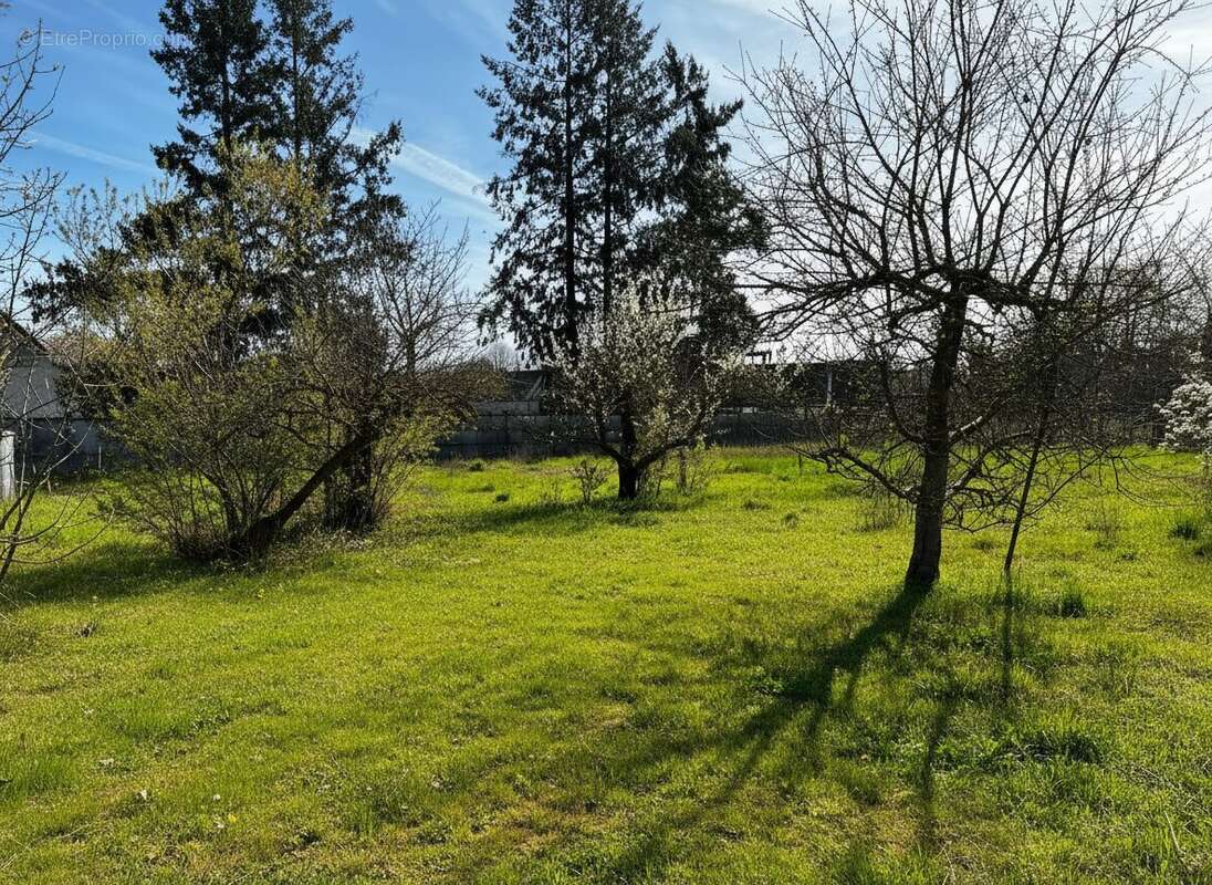 Terrain à SAINT-GONDON